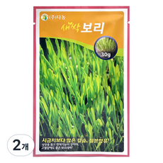 다농 새싹 보리 씨앗 30g, 2개 2개