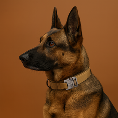 PASTEL PET 寵物中大型犬手把項圈, 米色