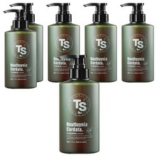 TS 어성초 샴푸, 500g, 6개