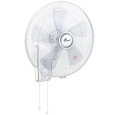 Hanil Electric 40cm壁掛式電風扇 FW-C653