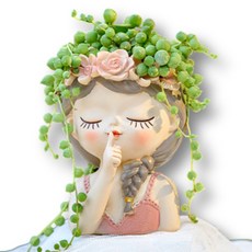Gomji 多肉植物花冠女士花盆, C款, 1個