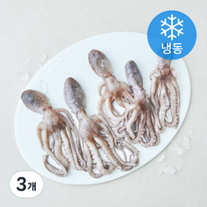 올프레시 살아있을때 얼린낙지 (냉동), 3개, 600g(5~7미)