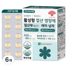 동화약품 활성형 엽산 영양제 임산부 임신 여자 남자, 60정, 6개