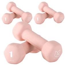 아리프 네오프렌 선인장 아령, 1kg, 6개