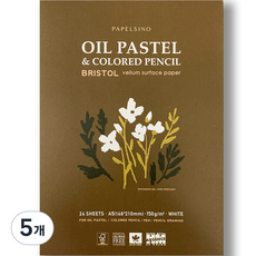 파펠시노 오일파스텔 색연필전용 종이 스케치북 브리스톨지 패드형, A5, 22매, 5개