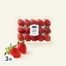 프리미엄 설향딸기, 380g, 3개