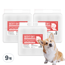 영마진 강아지 배변패드 스탠다드 20g, 100개입, 9개