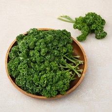 파슬리 국내산, 500g, 1개