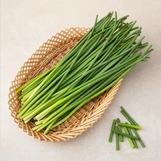 중국산 신선마늘쫑, 800g, 1개