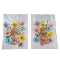 A-ONE 匯旺 真花壓花 2個, 多種規格天然植物壓花, 尺寸14.5 x 10.5 CM, 繁花似錦