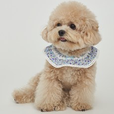 Dog-i 寵物可愛圍巾, 花朵款(藍色), 1個