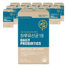 대상웰라이프 하루 유산균 19, 60g, 12개