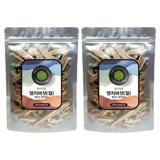 동이약초 중국산 영지버섯 절, 150g, 2개