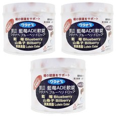人生製藥 渡邊藍莓ADE軟錠，含藍莓、山桑子、葉黃素酯, 190g, 3罐