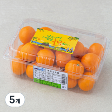 귤탐 당도선별 11Brix 감귤, 1.2kg(꼬마과), 5개