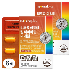 내츄럴플러스 리포좀 데일리 멀티비타민 미네랄 33g, 30정, 6개