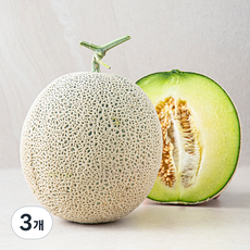고당도 머스크 메론, 3개, 2kg 이상