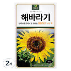 다농 씨앗애 해바라기 씨앗 30p, 2개