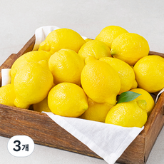 다조은 칠레산 레몬, 3개, 3kg