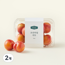 온브릭스 프리미엄 대석 자두, 2개, 500g