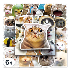 Inp 感性風防水PVC裝飾貼紙 50入, 6個, I 可愛貓咪
