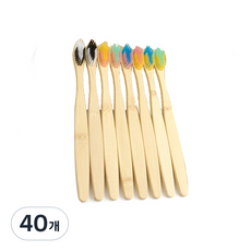 디에닐 제로웨이스트 투톤 나무 칫솔 랜덤발송, 40개, 1개입