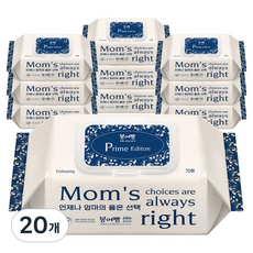 붕어빵 엘리트 올인원 프라임 에디션 아기물티슈 캡형, 80g, 70개입, 20개