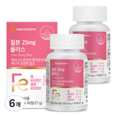 대웅생명과학 철분 25mg 플러스 27g, 90정, 6개