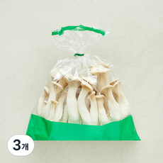 친환경 머쉬멜로버섯, 3개, 500g