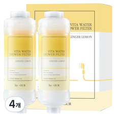 바이아우어 더 안심 비타민 샤워필터, 4개, 진저레몬향