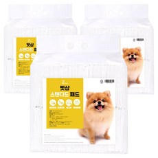 펫샵 스탠다드 반려동물 중형 배변패드 무향 18g, 100개입, 3개