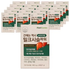 뉴트리가든 간에는 역시 밀크시슬 파워, 30정, 20박스