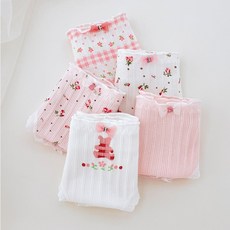 주니데이 샤라라 학생 팬티 5종 세트