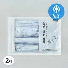 제주 손질 은갈치 중 3미 (냉동), 2개, 520g