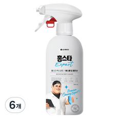 홈스타 엑스퍼트 배스룸 딥 클리너 변기비데 찌든때 제거 스프레이, 500ml, 6개