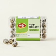 하림 무항생제 인증 메추리 유정란 56구, 504g, 1개