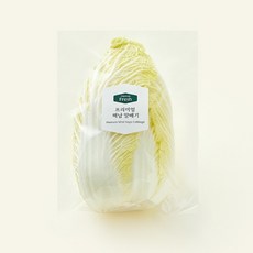 프리미엄 해남 알배기, 450g, 1개, 1개입