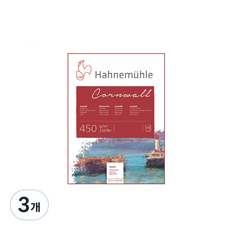 Hahnemuhle 康沃爾水彩紙 中紋 霧面 10張 450g, 3個