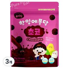 퓨어잇 한입에 퐁당, 초코, 25g, 3개