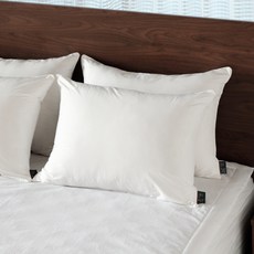 SONOSEASON Graphenoil飯店枕芯, 白色, 1個