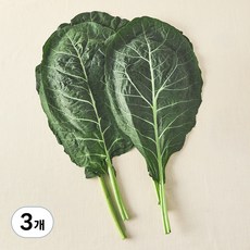 유기농 녹즙용 케일, 500g, 3개