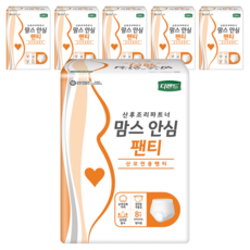 디펜드 여성용 맘스 안심팬티 성인기저귀, 프리사이즈, 8매입, 6개