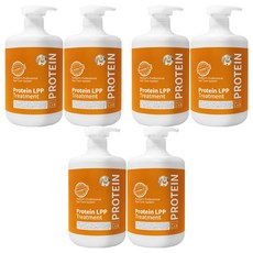 박준뷰티랩 단백질 LPP 헤어트리트먼트, 1L, 6개