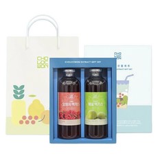 CHOLOCWON 水果濃縮液 660g x 2種 禮盒 + 購物袋, 1套, 梅子濃縮液 + 五味子濃縮液