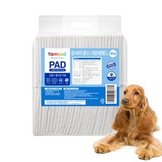 Tamsaa 狗狗專用尿布墊 檸檬香, 60入, 1包