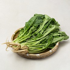 국내산 열무, 900g, 1개, 900g