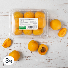 산지직송 푸드베이스 햇 살구, 500g, 3팩