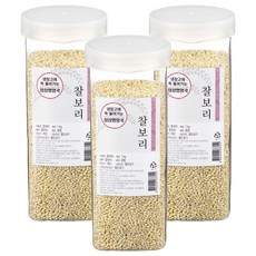 월드그린 싱싱영양통 찰보리, 1kg, 3개