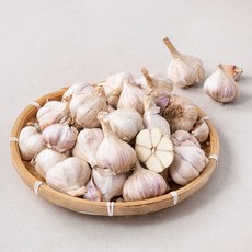 곰곰 서산 육쪽마늘, 1kg, 1개