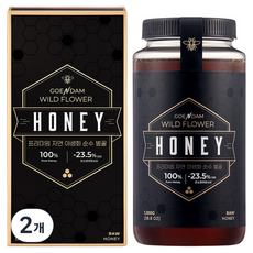 고은담 프리미엄 자연 야생화 순수 벌꿀, 2개, 1.1kg